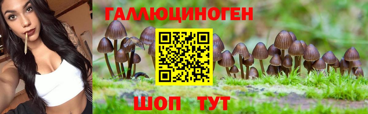 Псилоцибиновые грибы Psilocybe  Вход с VPN  Великие Луки 